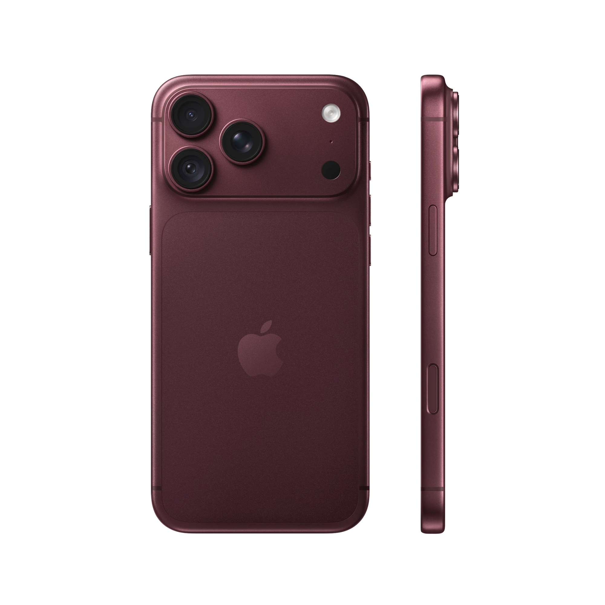 18 promax burgundy 2